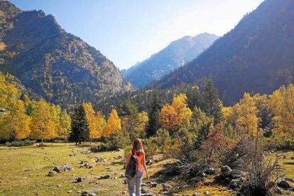 Les fulles cauen, arriba la boira i comença a fer fred.