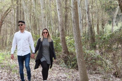 El concurs de Cercle per Sant Jordi.