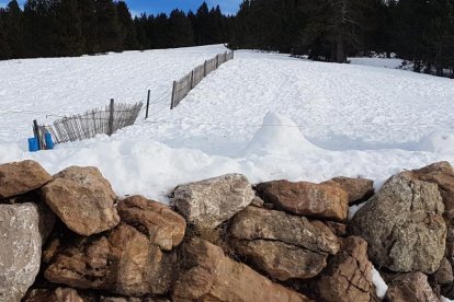 El fred, la boira i la neu... l'hivern ja és aquí!