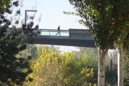 Les fulles cauen, arriba la boira i comença a fer fred.