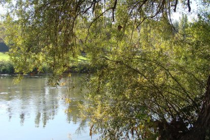 Les fulles cauen, arriba la boira i comença a fer fred.