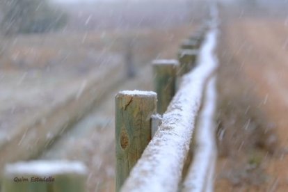 El fred, la boira i la neu... l'hivern ja és aquí!
