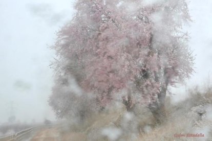El fred, la boira i la neu... l'hivern ja és aquí!