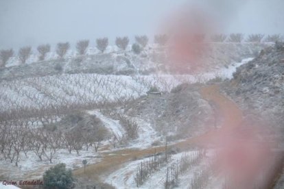 El fred, la boira i la neu... l'hivern ja és aquí!