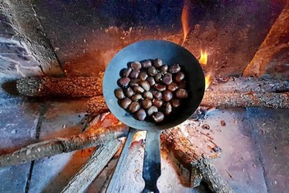 Les fulles cauen, arriba la boira i comença a fer fred.