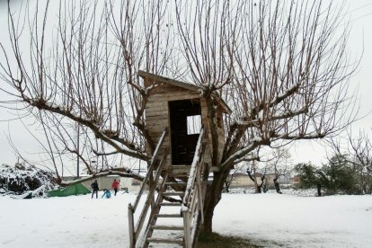 El fred, la boira i la neu... l'hivern ja és aquí!