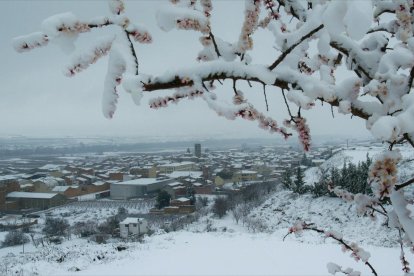 El fred, la boira i la neu... l'hivern ja és aquí!