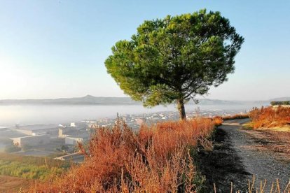 Les fulles cauen, arriba la boira i comença a fer fred.