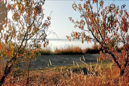 Les fulles cauen, arriba la boira i comença a fer fred.