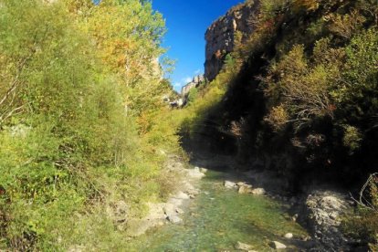Les fulles cauen, arriba la boira i comença a fer fred.