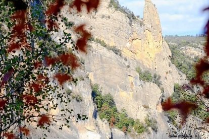 Les fulles cauen, arriba la boira i comença a fer fred.