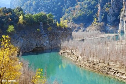 Les fulles cauen, arriba la boira i comença a fer fred.