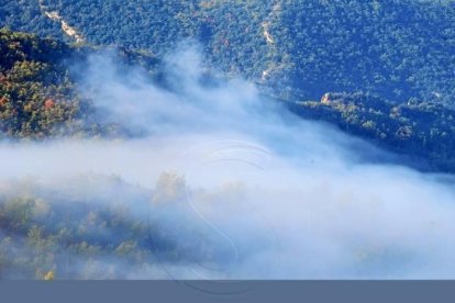 Les fulles cauen, arriba la boira i comença a fer fred.