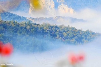 Les fulles cauen, arriba la boira i comença a fer fred.