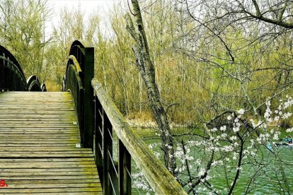 El fred, la boira i la neu... l'hivern ja és aquí!