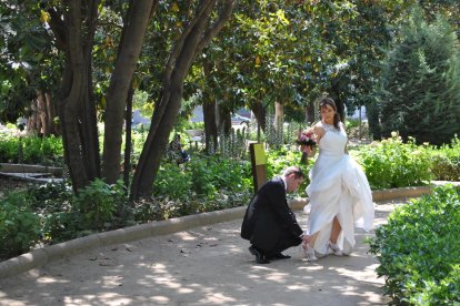 Felicita els teus familiars i amics pel seu aniversari, sant, casament enviant fotos a cercle@segre.com