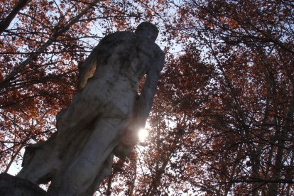 Les fulles cauen, arriba la boira i comença a fer fred.