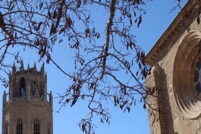 Les fulles cauen, arriba la boira i comença a fer fred.