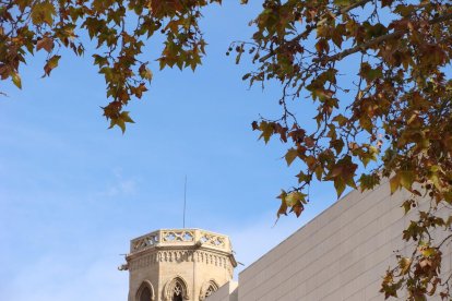 Les fulles cauen, arriba la boira i comença a fer fred.