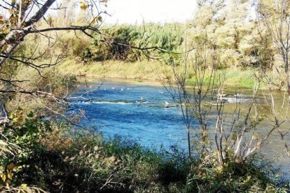 Les fulles cauen, arriba la boira i comença a fer fred.