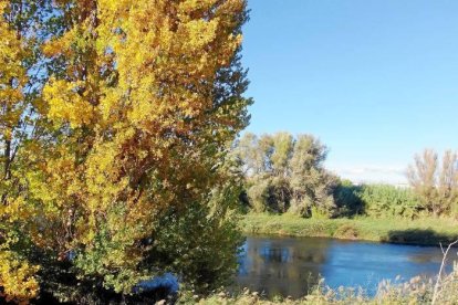 Les fulles cauen, arriba la boira i comença a fer fred.