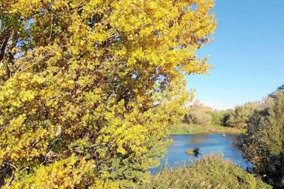 Les fulles cauen, arriba la boira i comença a fer fred.