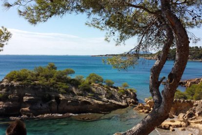 José Ignacio Alvarez Hernández