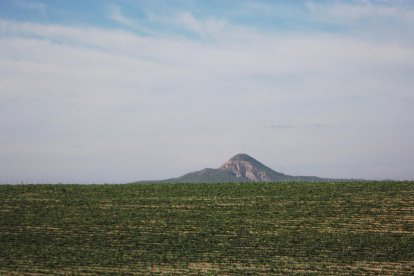 Les fulles cauen, arriba la boira i comença a fer fred.