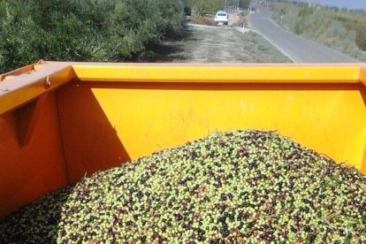 Les fulles cauen, arriba la boira i comença a fer fred.