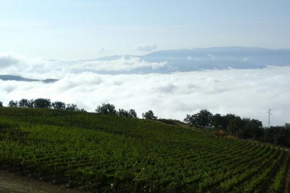 Josep Florensa Florensa Miret