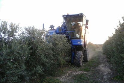 Josep Florensa Miret