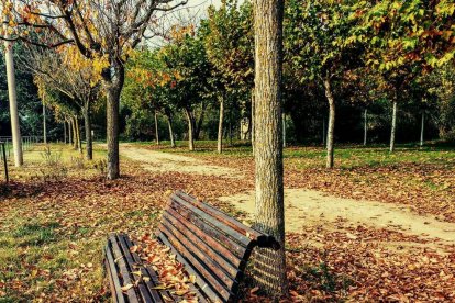 Les fulles cauen, arriba la boira i comença a fer fred.