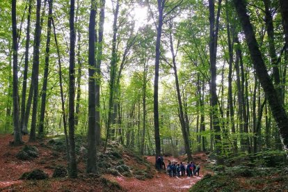 Les fulles cauen, arriba la boira i comença a fer fred.