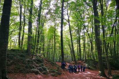 Les fulles cauen, arriba la boira i comença a fer fred.