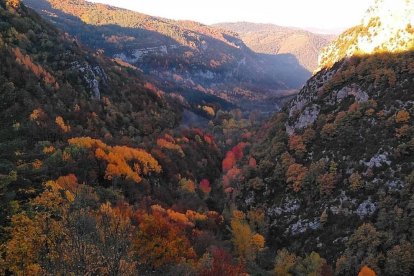 Les fulles cauen, arriba la boira i comença a fer fred.