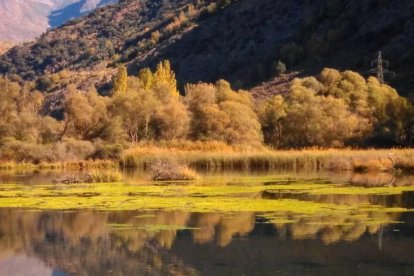 Les fulles cauen, arriba la boira i comença a fer fred.