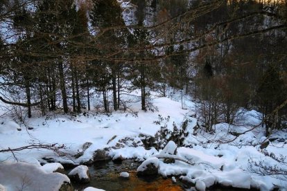 Les fulles cauen, arriba la boira i comença a fer fred.