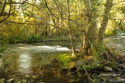 Les fulles cauen, arriba la boira i comença a fer fred.