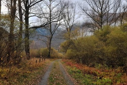 Carolina Mateo Aguilà