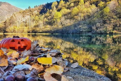 Carolina Mateo Aguilà