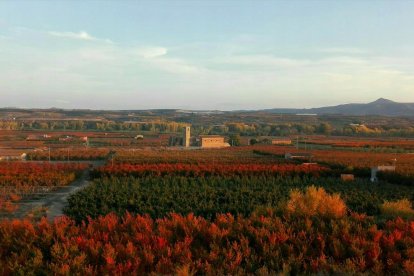 Les fulles cauen, arriba la boira i comença a fer fred.