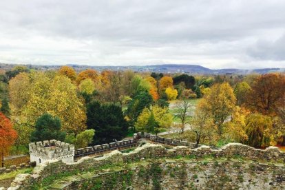 Les fulles cauen, arriba la boira i comença a fer fred.