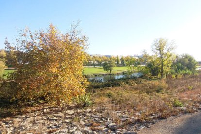 Les fulles cauen, arriba la boira i comença a fer fred.