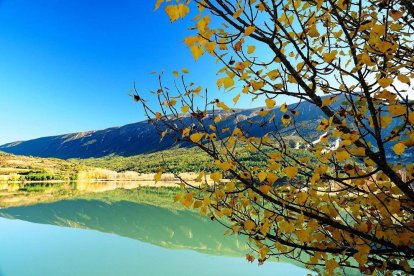 Les fulles cauen, arriba la boira i comença a fer fred.