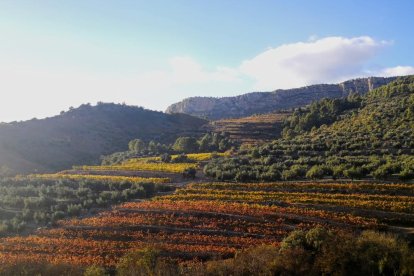 Les fulles cauen, arriba la boira i comença a fer fred.