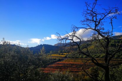 Les fulles cauen, arriba la boira i comença a fer fred.