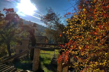 Les fulles cauen, arriba la boira i comença a fer fred.