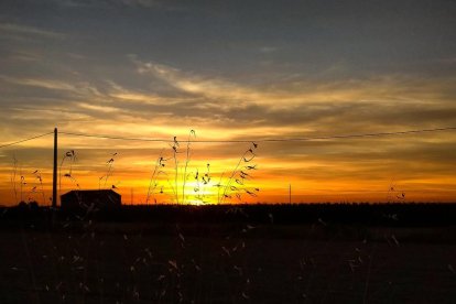 Les fulles cauen, arriba la boira i comença a fer fred.