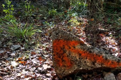 Les fulles cauen, arriba la boira i comença a fer fred.