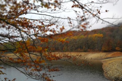 Les fulles cauen, arriba la boira i comença a fer fred.